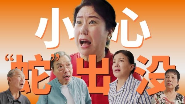 方道配资 什么样的痛，竟然会持续40多年