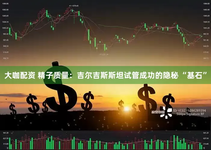 大咖配资 精子质量：吉尔吉斯斯坦试管成功的隐秘 “基石”